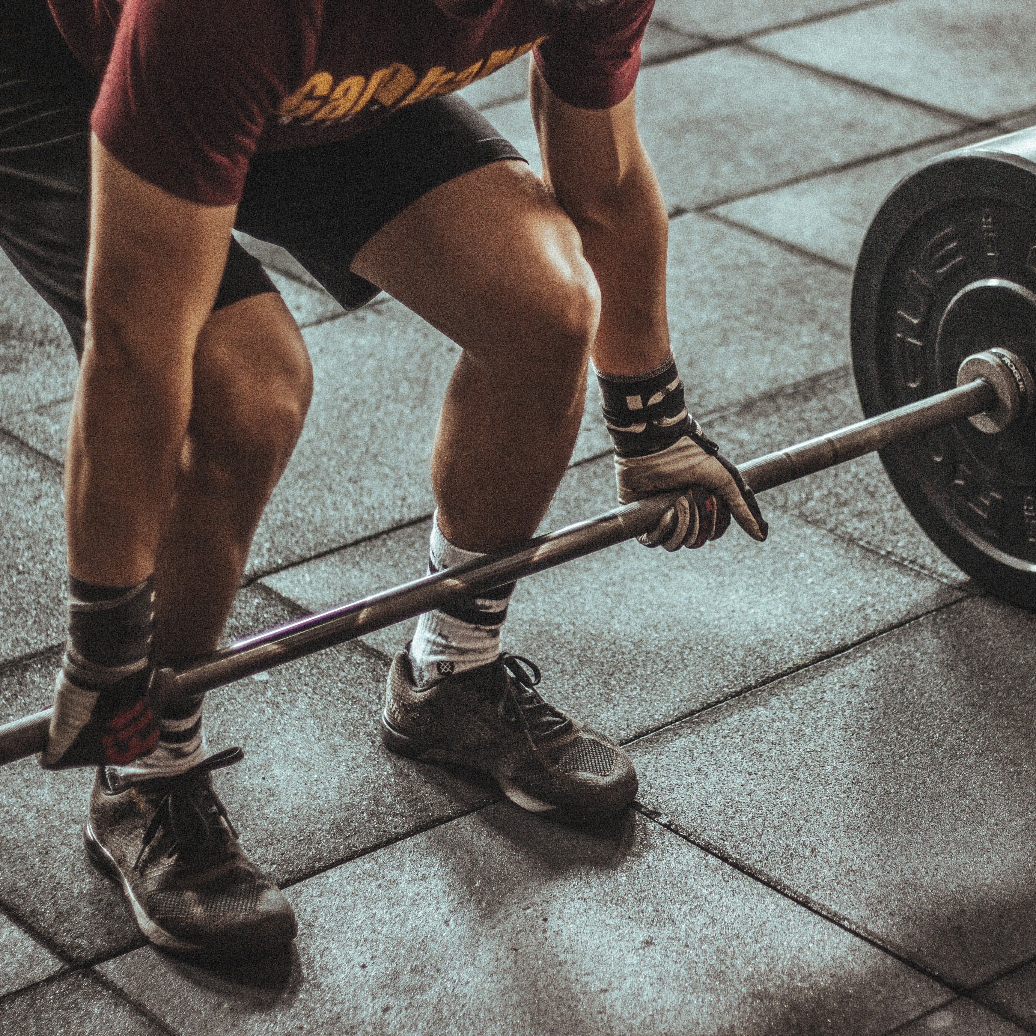 プロテインの堅実な選び方 1Muscle.com