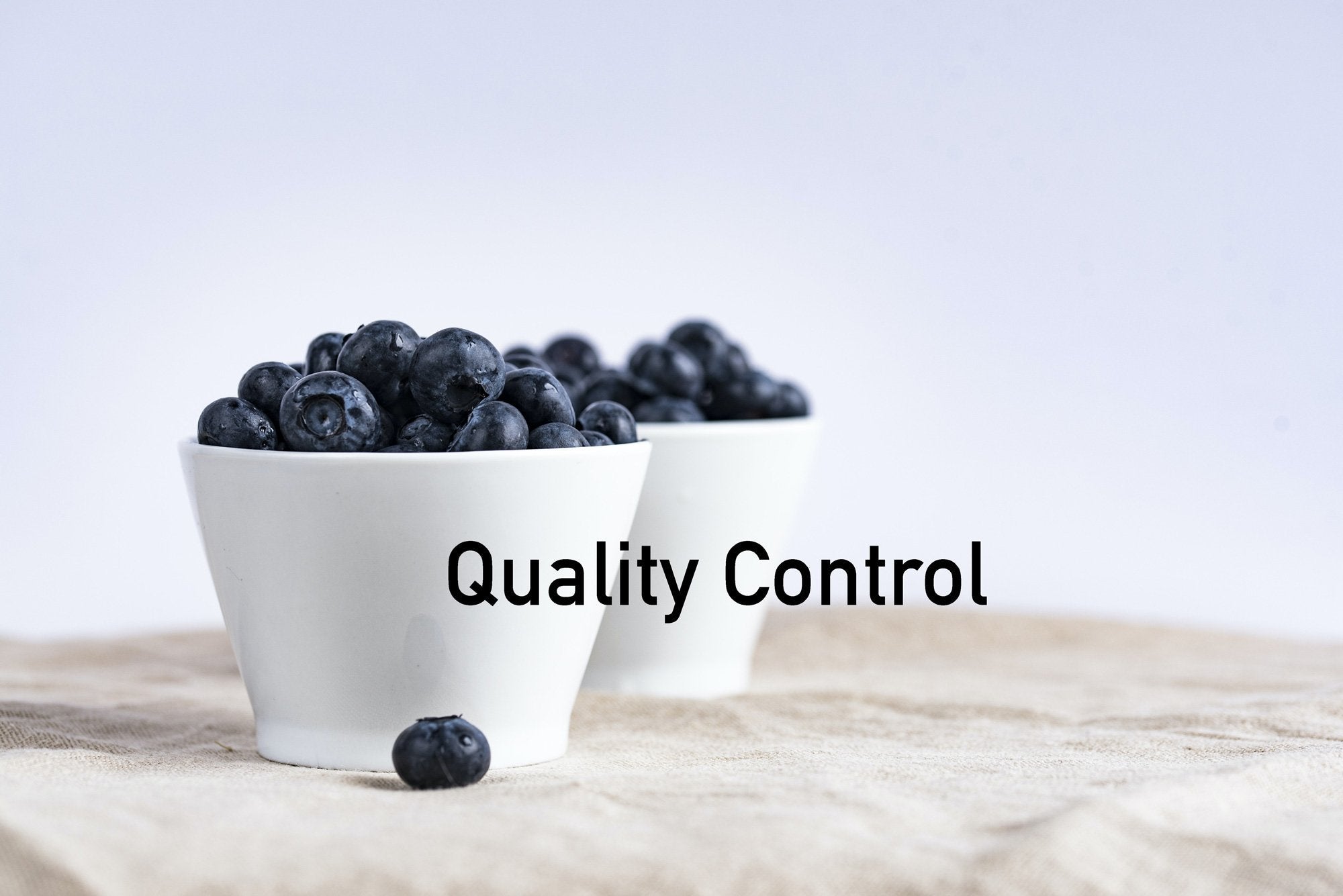 LAN製品の品質管理について 1Muscle.com