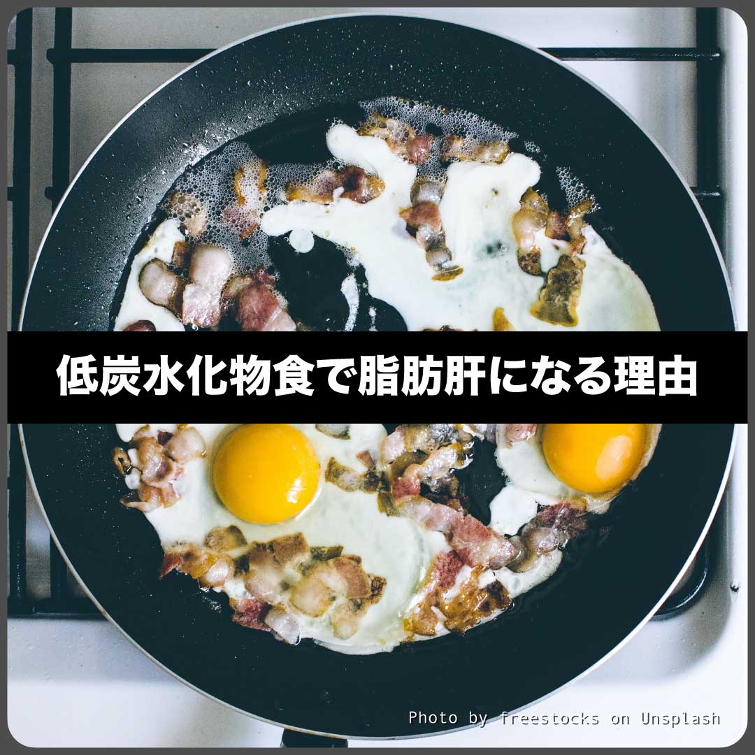 低炭水化物食で脂肪肝になる理由