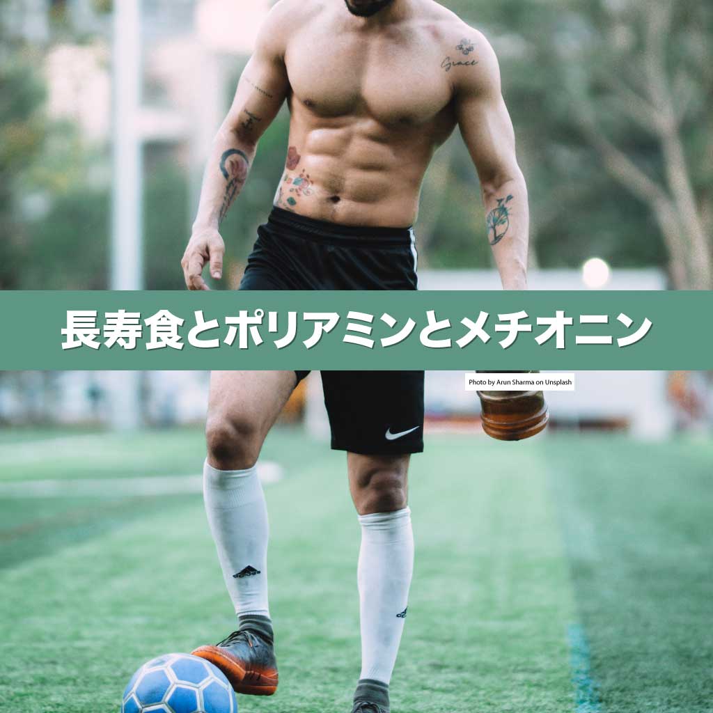 長寿食とポリアミンとメチオニン