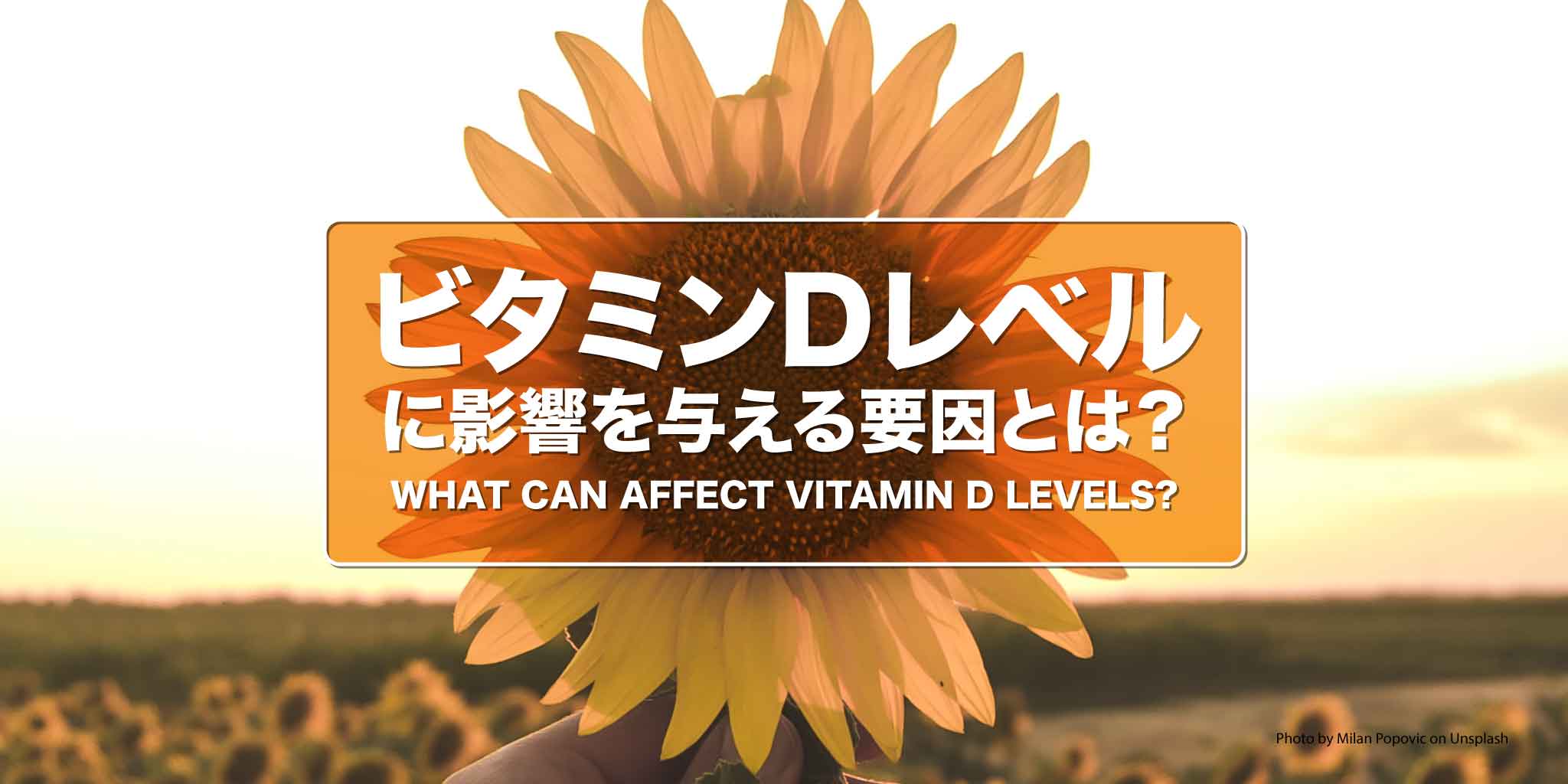 ビタミンDレベルに影響する要因